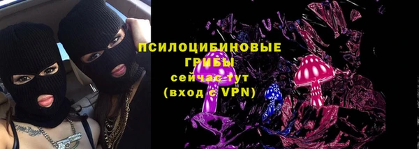 ECSTASY Алзамай