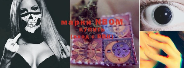 ECSTASY Алзамай