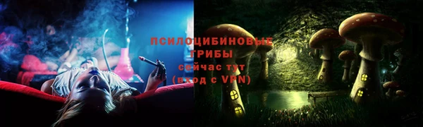 ECSTASY Алзамай