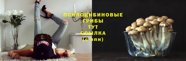 ECSTASY Алзамай
