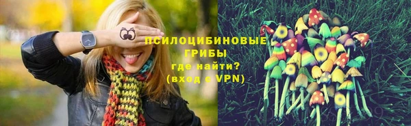ECSTASY Алзамай
