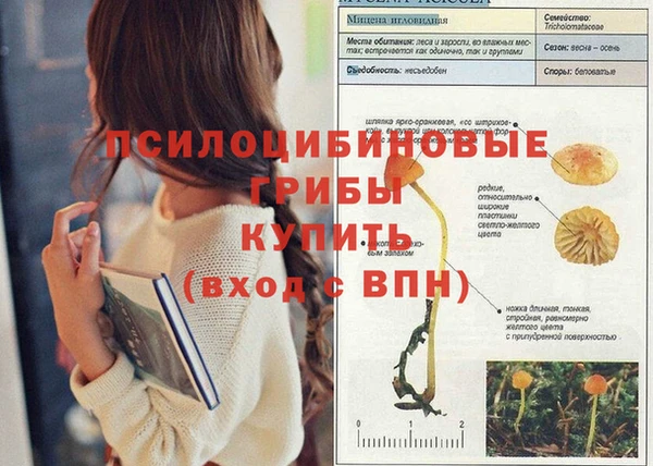 MDMA Алексин