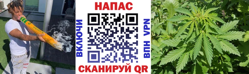 Бошки Шишки White Widow  Мурманск 